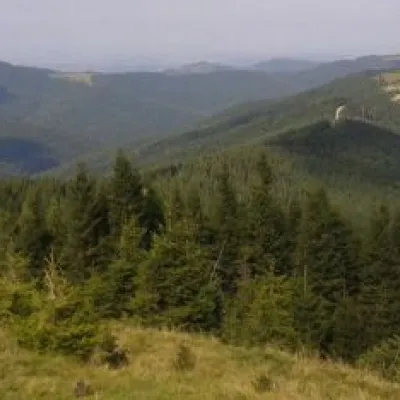 Polonyna Shuvarenko — 2