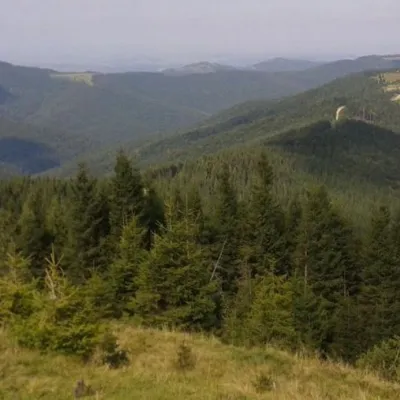 Polonyna Lazok — 4