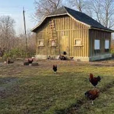 Eliza's farm — 5
