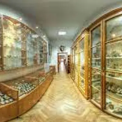 Ludowe Muzeum Zoologiczne Lwowskiego Uniwersytetu Narodowego im. Iwana Franki — 5
