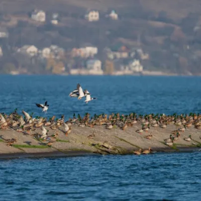Burshtyn Reservoir and Discharge Canal — 4