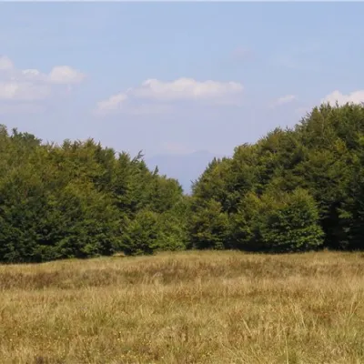 Mount Buzhora — 4