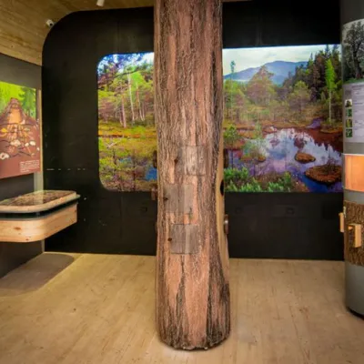 Museum "Heritage Center of the Vygoda Narrow Gauge Railway" Vygoda — 2