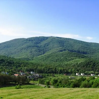 Заказник "Чорна Гора" Виноградів — 4