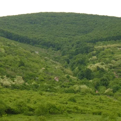 Заказник "Чорна Гора" Виноградів — 5
