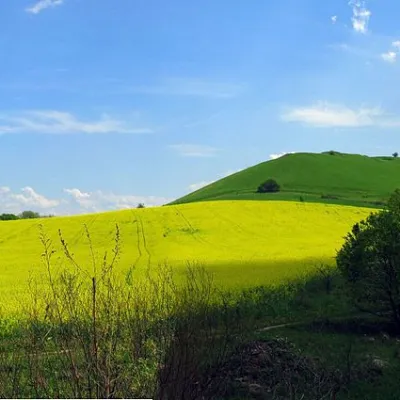 Chortowa Góra, Rohatyn — 5