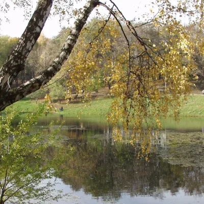 Sand Lakes Park — 3