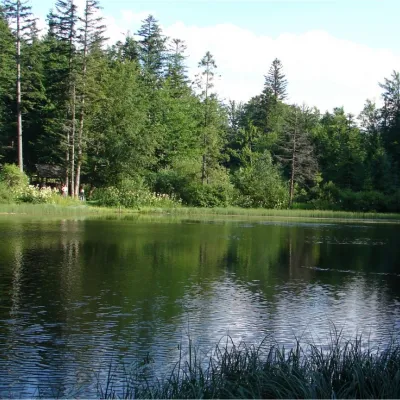 Górskie Jezioro Polyanyckie (Martwe Jezioro) — 2