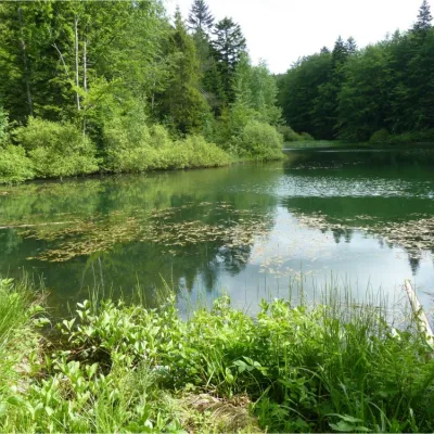 Górskie Jezioro Polyanyckie (Martwe Jezioro) — 3