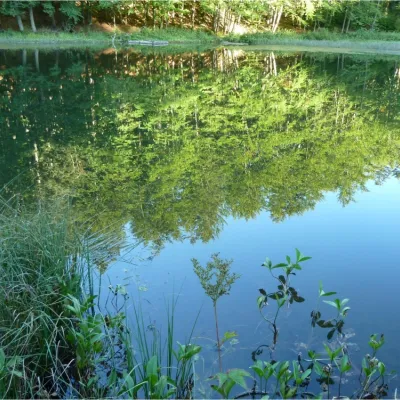Górskie Jezioro Polyanyckie (Martwe Jezioro) — 4