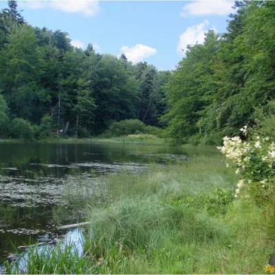 Górskie Jezioro Polyanyckie (Martwe Jezioro) — 5
