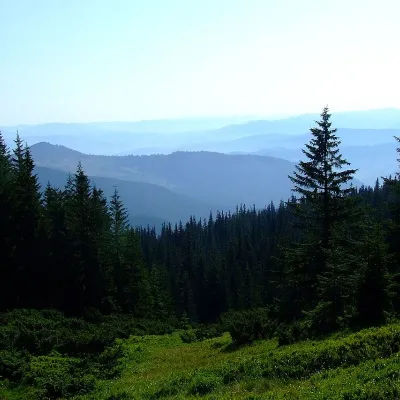 Mount Bert — 2