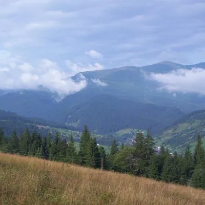 Mount Bert — 4