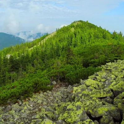 Mount Borevka — 4