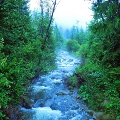 Góra Bushtul — 3