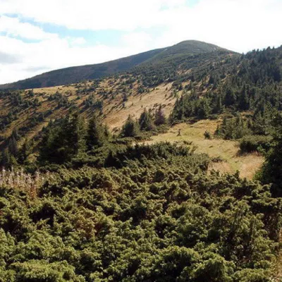 Mount Durnia — 3