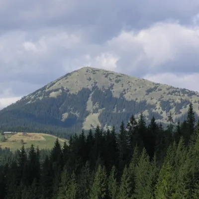 Гора Хом’як