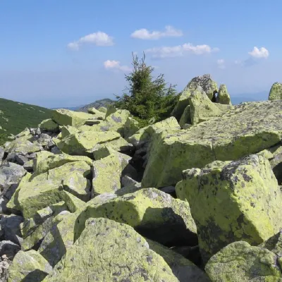 Гора Ігровець