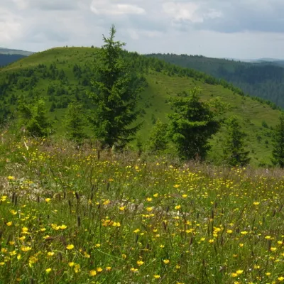 Mount Komanova — 5