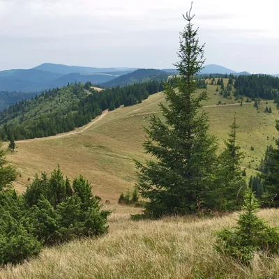 Mount Lisniv — 3