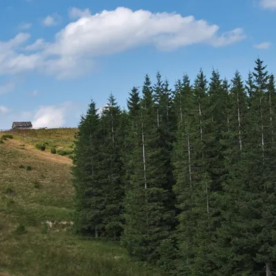 Mount Lisniv — 4