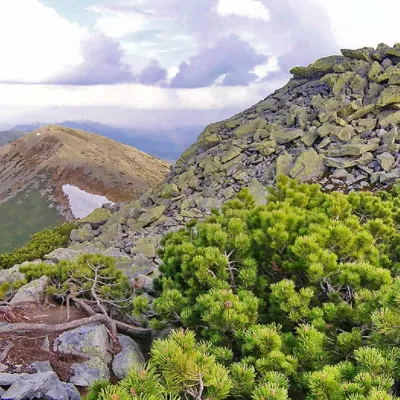 Mount Lopushna — 2