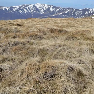 Mount Menchul — 4