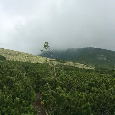 Mount Negrova — 3