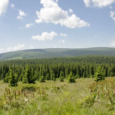 Гора Пуруль
