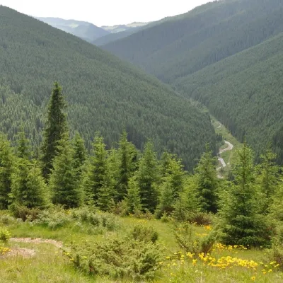 Mount Purul — 3