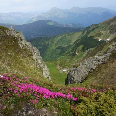 Mount Steavul — 5