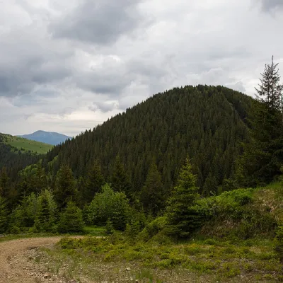 Mount Stih (Dragobrat) — 3