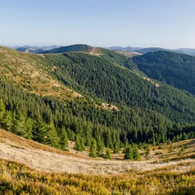 Mount Tarnitsa — 3
