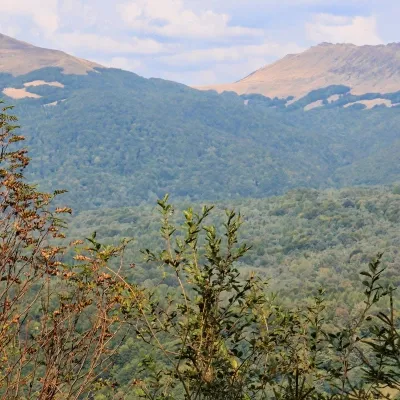 Mount Tarnitsa — 5
