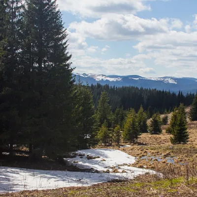 Góra Yarovytsia — 3