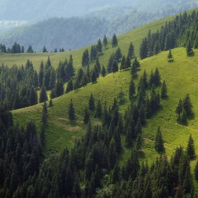 Góra Zherban — 5
