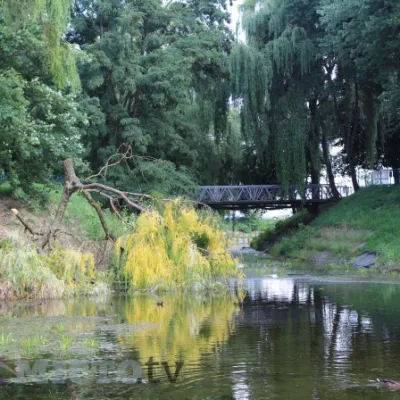 Sand Lakes Park — 4