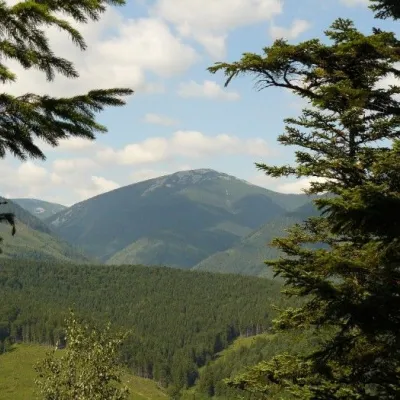 Ландшафтний заказник Грофа