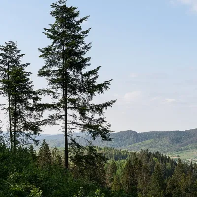 Ландшафтний заповідник Розлуч — 4
