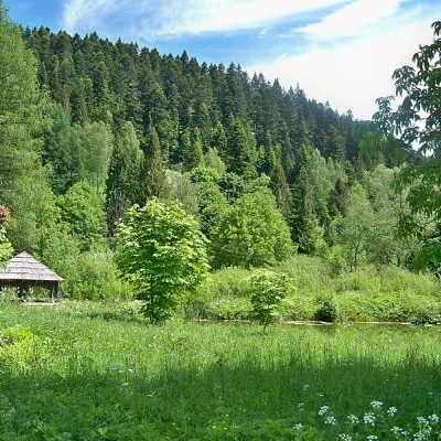 Ландшафтний заповідник Розлуч — 5
