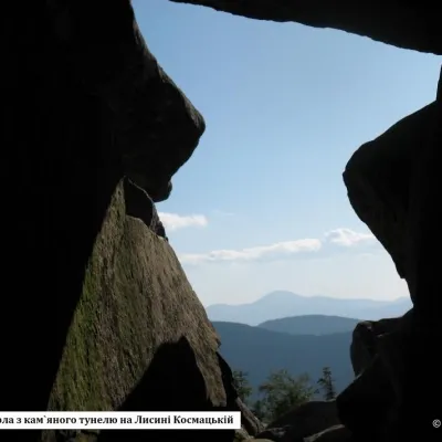Kosmatska's bald head — 4
