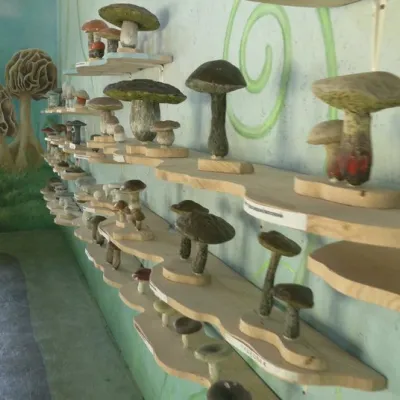 Muzeum grzybów, Iltsi — 4