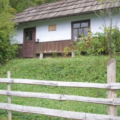 Музей Параски Плитки-Горицвіт, Криворівня