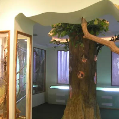 Muzeum "Natura Ziemi Galicyjskiej" Narodowego Parku Przyrodniczego Halińskiego — 3