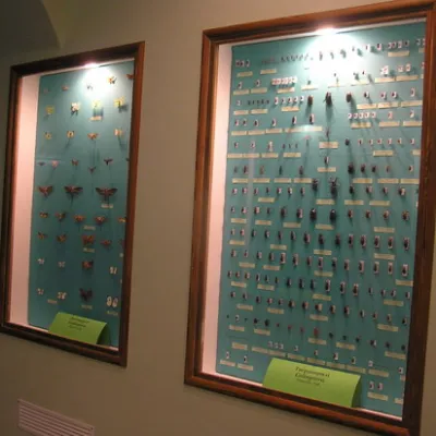 Muzeum "Natura Ziemi Galicyjskiej" Narodowego Parku Przyrodniczego Halińskiego — 5