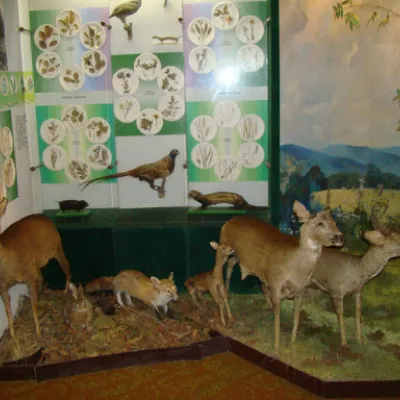 Muzeum rodzimej przyrody Karpat, Zeleniw — 5