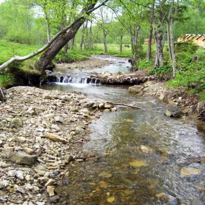 Національний природний парк "Вижницький" Берегомет — 4