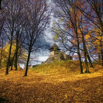 Невицький замок — 3