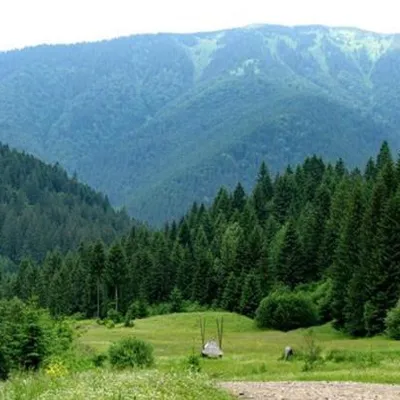 Ozerna Mountain — 4