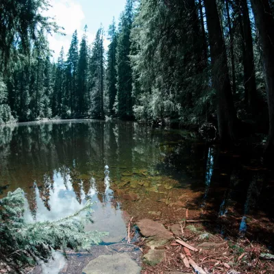 Озеро Аршиця, Осмолода